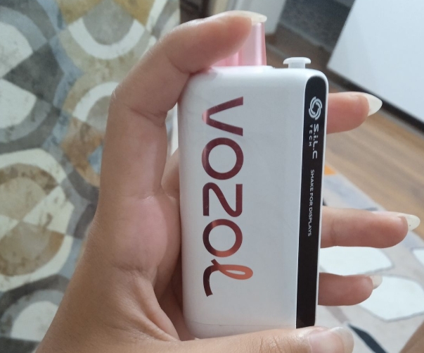 Vozol &ndash; Jouw Ideale Keuze voor een Premium Vape-Ervaring in Belgi&euml;